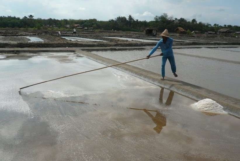 Petani di Kabupaten Probolinggo sedang mengumpulkan kristal garam di petak tambak garamnya. (Foto: Ikhsan Mahmudi/Ngopibareng.id)