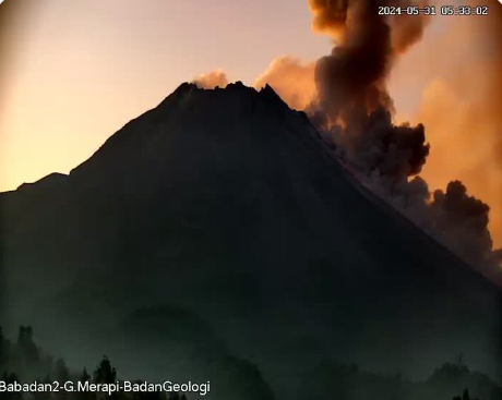 Gunung Merapi luncurkan awam panas jarak luncur hingga 1300 meter pada Jumat 31 Mei 2024, dini hari. (Foto: pvmbg)