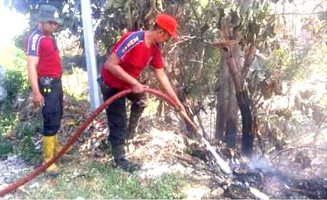 Anggota Damkar Situbondo memadamkan tituk api membakar hutan jati seluas satu hektar di Kecamatan Panarukan. (Foto: BPBD Situbondo)