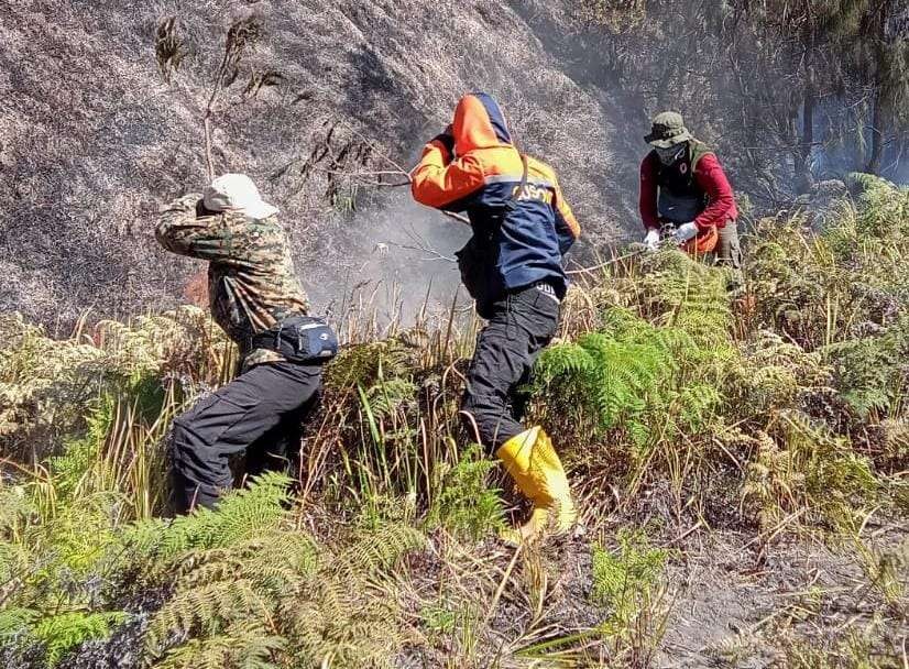 Petugas gabungan dan BPBD Kabupaten Probolinggo memadamkan kebakaran Gunung Batok. (Foto: BPBD).