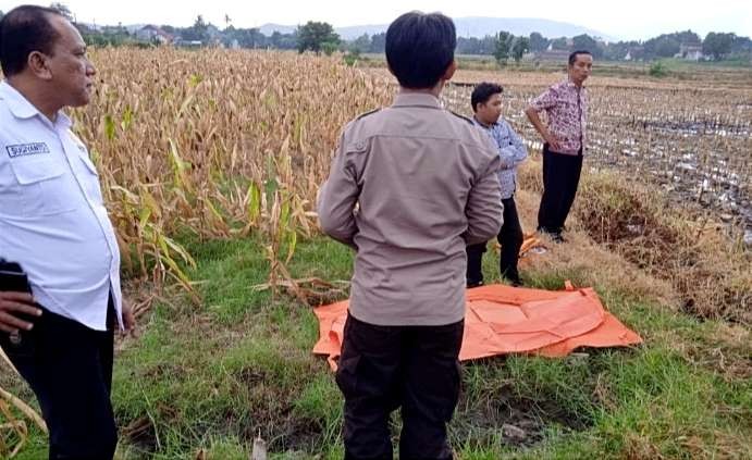 Anggota Polsek Panarukan Situbondo melakukan olah TKP penemuan mayat warga Bondowoso di area sawah. (Foto: Dokumentasi Polsek Panarukan Situbondo)