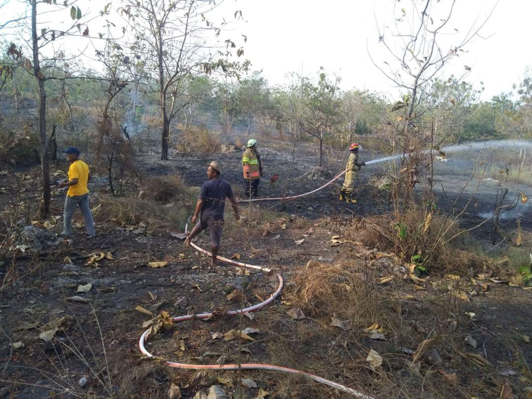 Hutan jati di Petak 129 KPRH Sampang BKPH Dander Desa Jono Kecamatan Temayang Kabupaten Bojonegoro terbakar pada Minggu 30 Juni 2024. (Foto: dok: damkarmat Bojonegoro)
